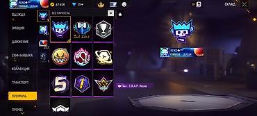 Толстовки, худи: Игровой аккаунт Free Fire Основное: - Ник: ALIKO - Уровень профиля — 34