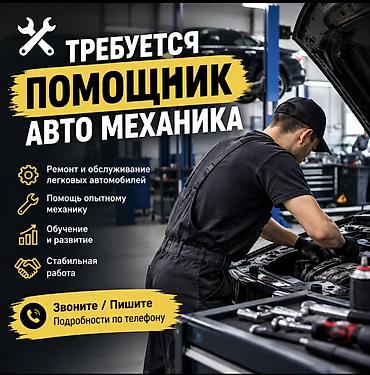 ig development: Вакансия: помощник автомеханика Требуется авто мастер на Завод Адрес — 1