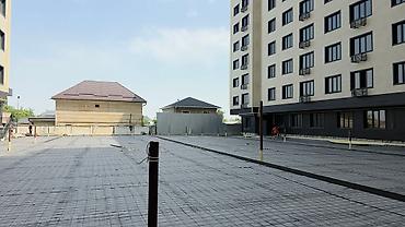 Floor Screeding: 3-5 лет опыта — 2
