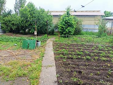 Продажа коттеджей и домов: Продается частный дом с двором и въездом для авто. - Участок огражден — 12