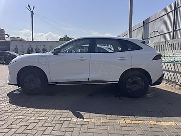 byd l: Dongfeng : 2026 г., Автомат, Электромобиль, Кроссовер — 6