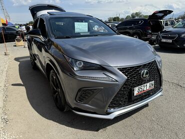 Lexus: Lexus NX: 2020 г., 2 л, Автомат, Бензин, Кроссовер
