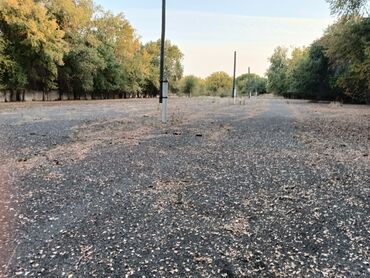 Продажа участков: 12 соток, Для строительства, Красная книга — 3