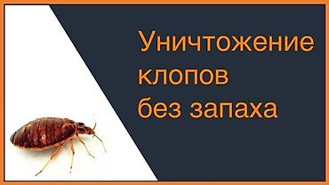 талоны: Дезинфекция, дезинсекция, | Муравьи, Блохи, Вирусы, микробы, | Кафе, магазины, Квартиры, Подъезды — 9