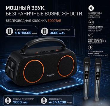 dji mic 1: Портативная колонка караоке система с двумя микрофонами Eccotae TK-118 — 9