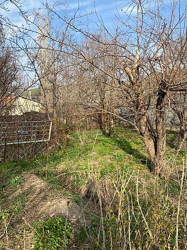 Другие удобства для дома и сада: Другие удобства для дома и сада, Самовывоз — 8