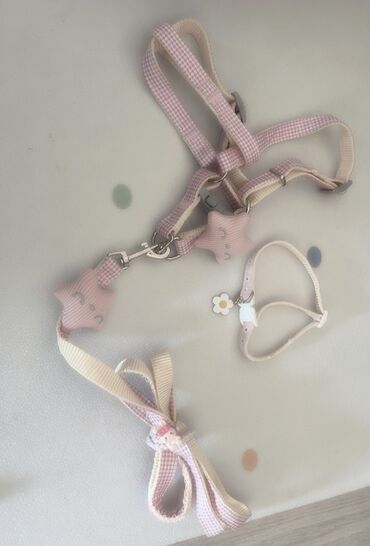 Декоративные кролики: Полный набор для содержания декоративного кролика. В комплекте: - — 15