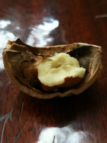 гретский орех: Продаю орех тонкокорый, прожарка, домашний