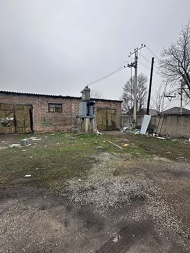 Кыймылсыз мүлк: 29 соток, Кызыл китеп — 6