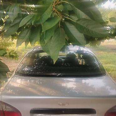 sonata d8: Daewoo Lanos: 1998 г., Механика, Бензин, Седан — 5