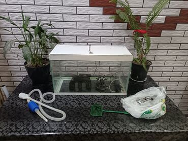 Грызуны: Прямоугольный аквариум, Пустой, 30 л, Платная доставка