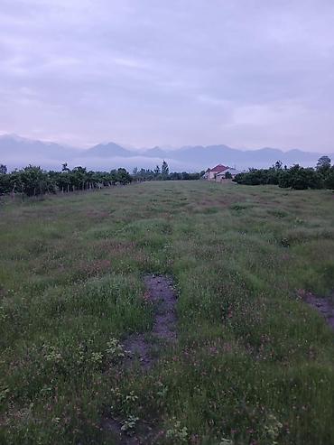 Torpaq sahələrinin satışı: 87 sot, Tikinti, Mülkiyyətçi, Kupça (Çıxarış) — 9