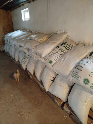 Сельхоз предприятия: Продаю Птицеферма, 10 соток, Действующий, С оборудованием, Электричество, Канализация, Отопление — 6