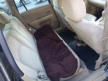 demio: Mazda Demio: 2003 г., 1.3 л, Автомат, Бензин, Хэтчбэк — 7