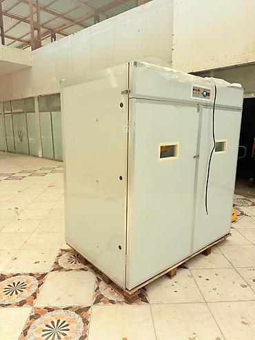 incubator cuceleri: Tam avtomat, Bütün növ quşlar üçün — 3