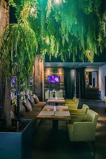 zeleniy cay: Green House Azerbaijan. Dekor interyer Kafe×restoranlar üçün — 9