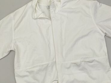 paprocki i brzozowski t shirty: Sweatshirt, L (EU 40), condition - Good