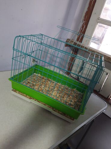 Qəfəslər: Etrafli vp 051 494 09 86 Qefeslerin her biri satişda var qefes bitende — 10
