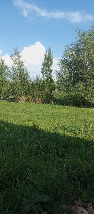 баня арендага берилет: 5 соток, Курулуш, Кызыл китеп