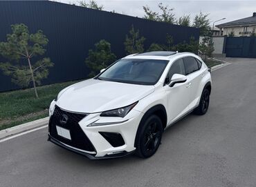 электроусилитель руля цена: Lexus NX: 2017 г., 2.5 л, Автомат, Гибрид, Кроссовер