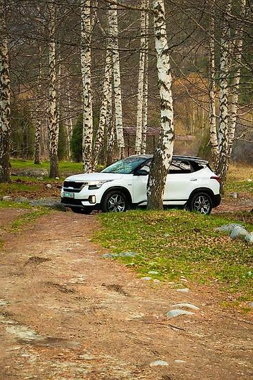 Kia Seltos: 2022 г., Кроссовер