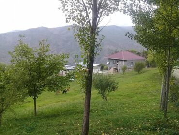 квартиры баку аренда: 16 соток, Для строительства, Собственник, Купчая