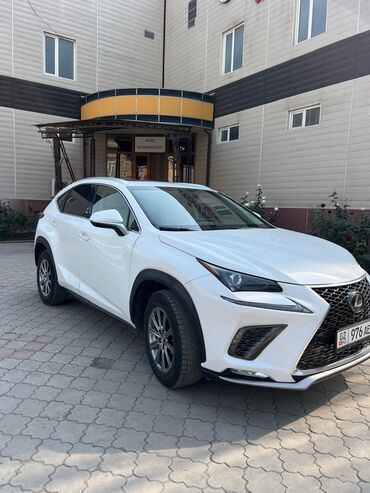 купить шины в бишкеке бу: Lexus NX: 2019 г., 2 л, Автомат, Бензин, Внедорожник
