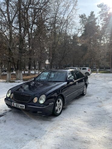 муравей мото: Mercedes-Benz : 2000 г., 3.2 л, Автомат, Бензин, Седан