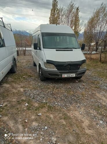 Транспорт: Mercedes-Benz Sprinter: 2002 г., 2.9 л, Механика, Дизель, Бус