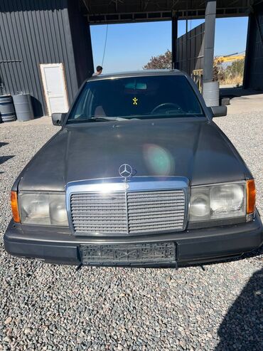 Mercedes-Benz: Mercedes-Benz W124: 1991 г., 2 л, Механика, Бензин, Седан
