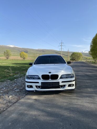 BMW: BMW 5 series: 1996 г., 4.4 л, Типтроник, Бензин, Седан