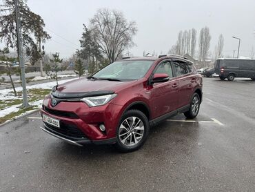 Toyota: Toyota RAV4: 2017 г., 2.5 л, Автомат, Гибрид, Кроссовер — 2