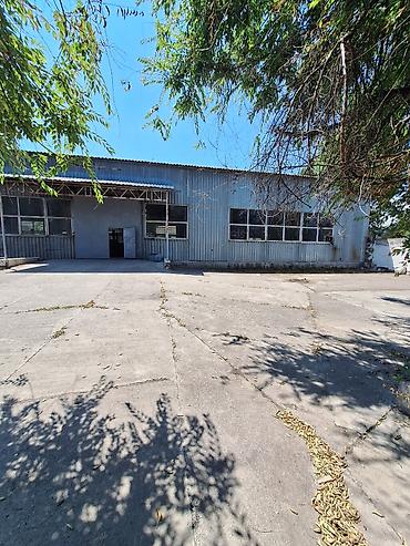 Продажа зданий: Ангар, 1000 м² — 21