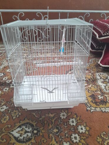 клетка для собаки в квартиру: Продаётся клетка для 2 волнистых попугаев