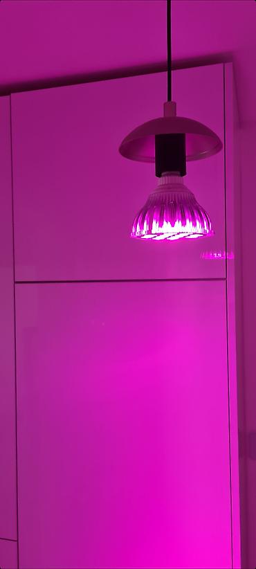 Rasveta: Prodajem polovnu, samo isprobanu sijalicu sa postavljenih slika. Možda — 2