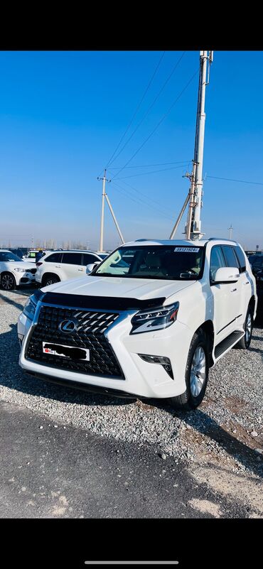 япония машина: Lexus GX: 2019 г., 4.6 л, Автомат, Бензин, Жол тандабас