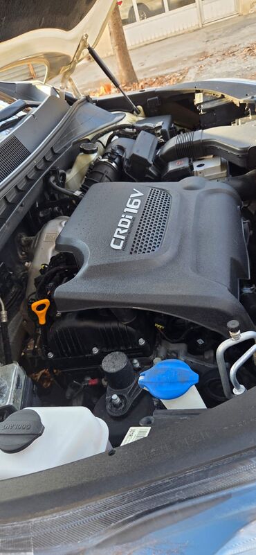 Kia: Kia Sorento: 2 l | 2014 il Ofrouder/SUV — 13