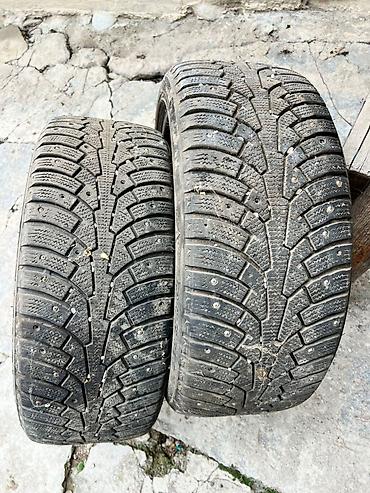 Шины: Шипованные зимние шины Triangle 225/45 R18 95T (усиленный индекс — 2