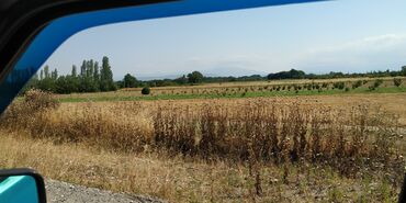 Torpaq sahələrinin satışı: 116 sot, Kənd təsərrüfatı, Barter mümkündür, Kupça (Çıxarış) -da lalafo.az — 9 Torpaq sahələrinin satışı: 116 sot, Kənd təsərrüfatı, Barter mümkündür, Kupça (Çıxarış) — 9