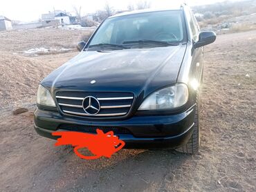 переделка спринтера с грузового в пассажирский: Mercedes-Benz M-Class: 2001 г., 4.3 л, Автомат, Газ, Внедорожник