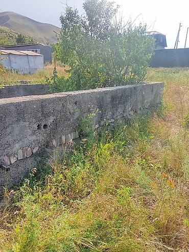 туп: 5 соток, Курулуш, Кызыл китеп — 2
