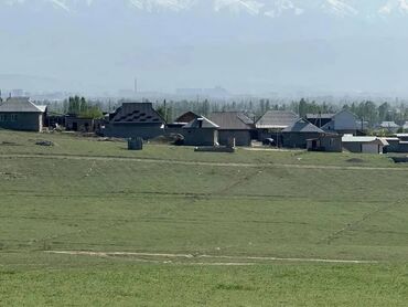 участок рухий мурас 1: 130 соток, Для бизнеса, Договор купли-продажи
