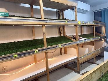 Аренда магазинов: 4 мкр Сдается отдельностоящий магазин Площадь: 20м2 С оборудованием — 10