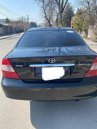 harrier 2003: Toyota Camry: 2003 г., 2.4 л, Автомат, Бензин, Седан — 3