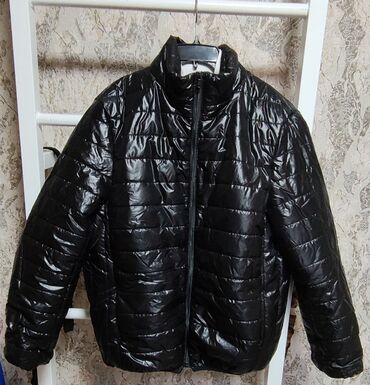 мужская деми куртка: Куртка 3XL (EU 46), цвет - Черный