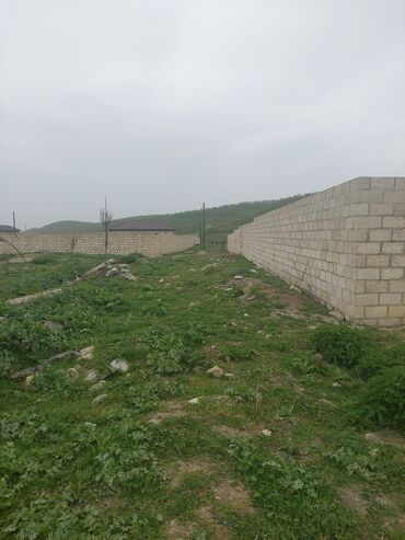 Torpaq sahələrinin satışı: 31 sot, Kənd təsərrüfatı, Kupça (Çıxarış) -da lalafo.az — 8 Torpaq sahələrinin satışı: 31 sot, Kənd təsərrüfatı, Kupça (Çıxarış) — 8