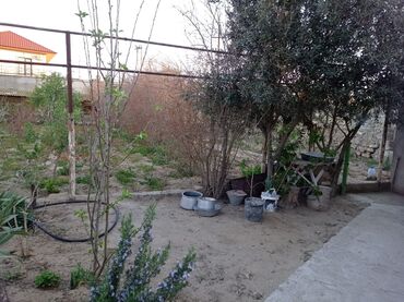 Bağ evlərinin satışı: Digah, 2300 kv. m, 3 otaqlı, Hovuzsuz, Artezian quyusu, İnternet, İşıq — 6