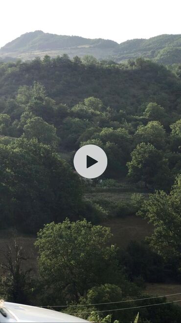 qaxda findiq bagi satilir: 9 sot, Tikinti, Mülkiyyətçi, Kupça (Çıxarış)