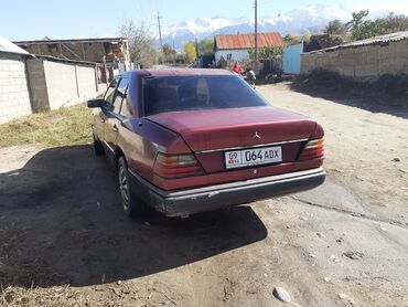 дом на калесах: Mercedes-Benz W124: 1990 г., 2.9 л, Механика, Дизель, Седан