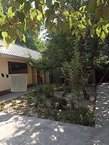 жилой дом с земельным участком: 5 комнат, 150 м², 467 соток, Манас (Джалал-Абад), Собственник — 4